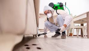 Emergency Pest Control Services in Texarkana, TX